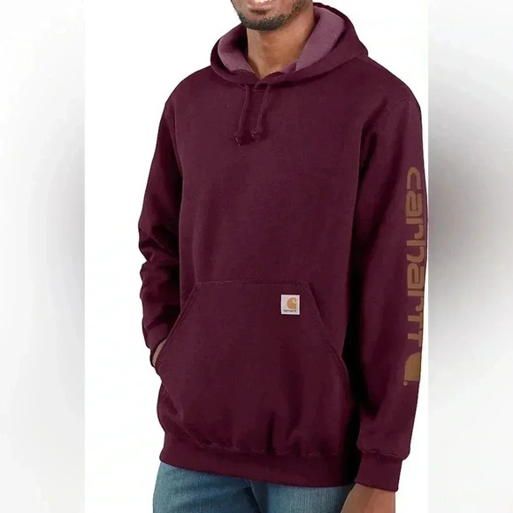Carhartt LOOSE FIT MIDWEIGHT LOGO SLEEVE GRAPHIC HOODIE - Picture 1 of 2